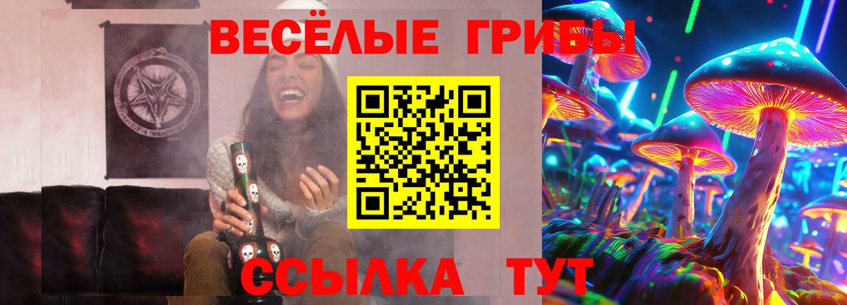 Галлюциногенные грибы мухоморы Донской