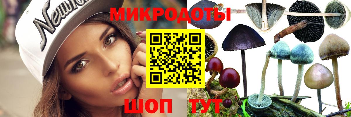 Донской  наркотики  Вход с VPN  Галлюциногенные грибы Cubensis 